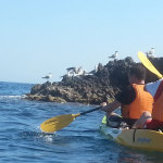 kayak-almeria-arrecife-de-las-sirenas-3
